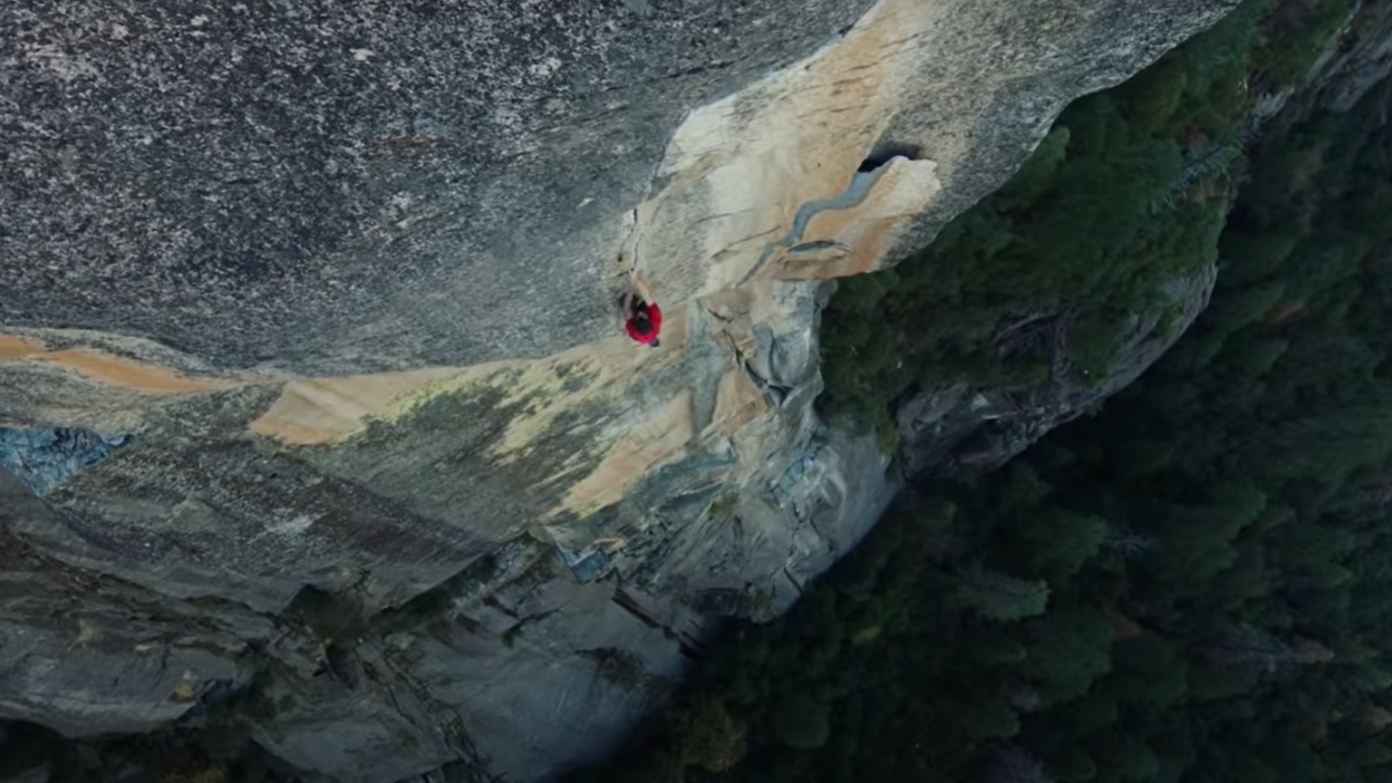 A climber, Alex Honnold, in a red shirt ascends a steep, textured cliff face surrounded by lush green forest. The image captures a sense of daring, risk, and adventure.