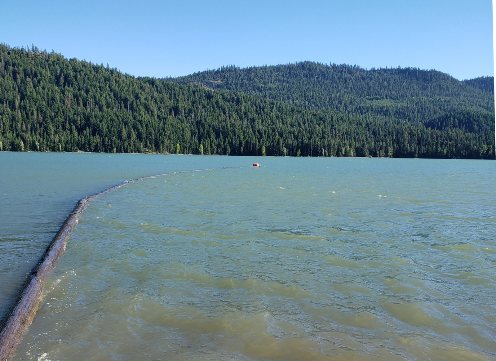 A tranquil lake bordered by dense evergreen forested hills under a clear blue sky, with a weathered wooden log barrier extending from the foreground into the water and a small orange buoy floating in the lake.